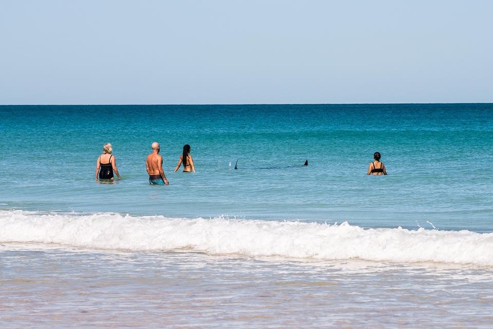 You Know Youre in Broome When Manta Rays Herald the Dry Season