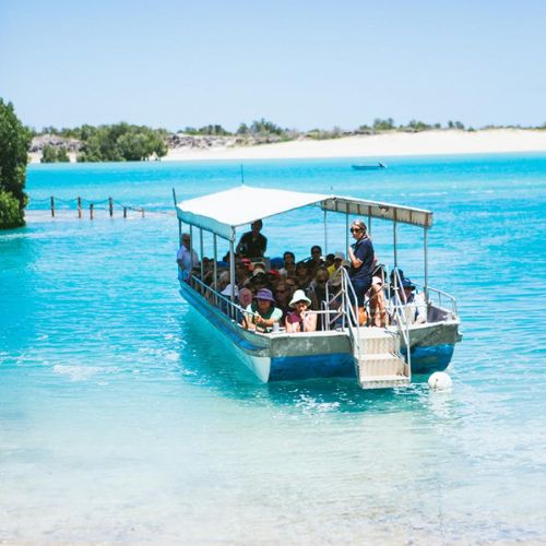 Visit the Willie Creek Pearl Farm