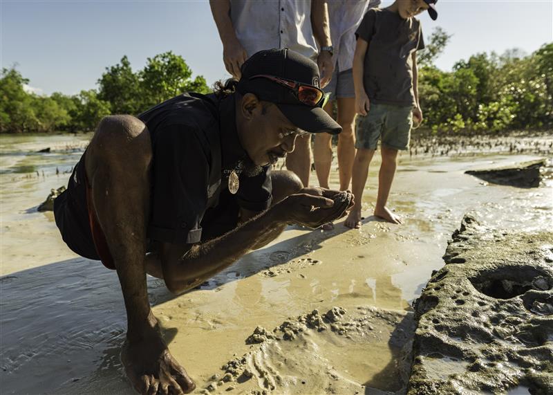 Borrgoron Coast to Creek Tour