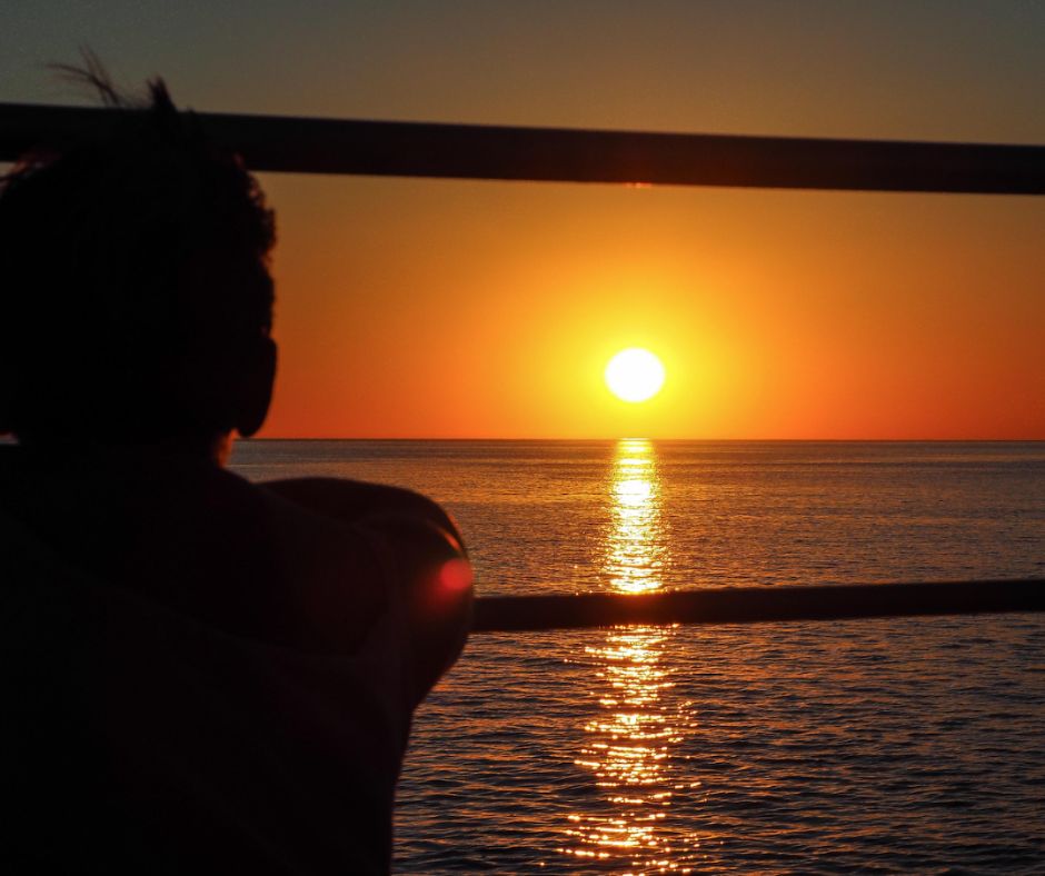 Sunset Whale Watching Cruise