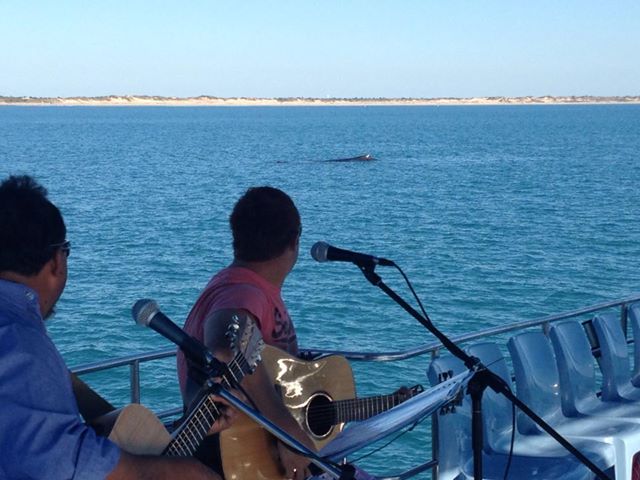 Live Music Sunset Cruise