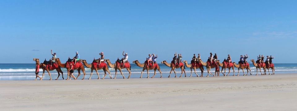 Magical Morning Camel Ride on Cable Beach