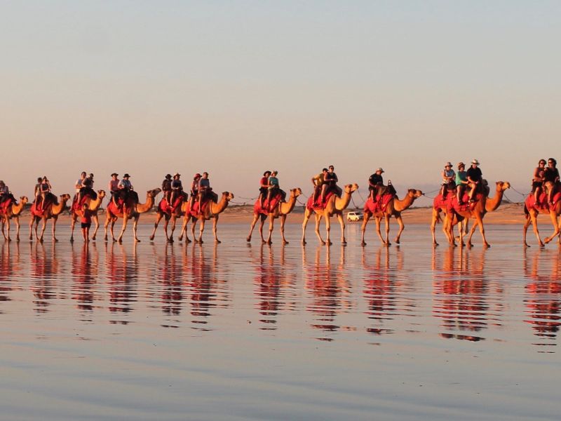 Sunset Camel Tour Red Sun Camels