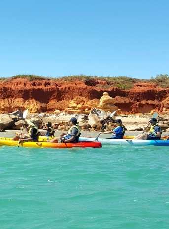 Turtle Kayak Adventures