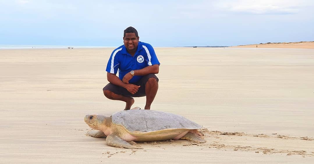 Turtle Nesting Experience