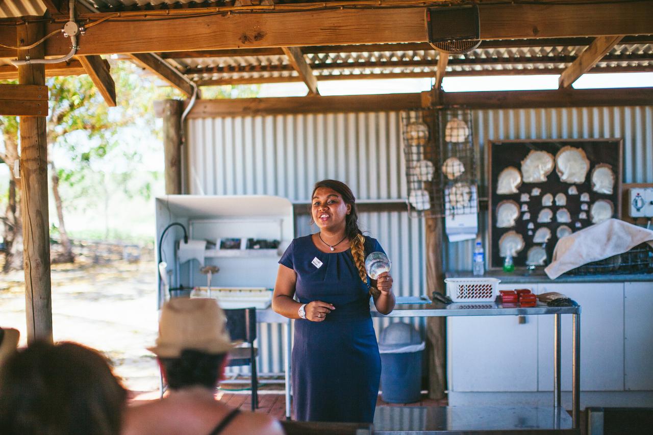 Willie Creek Pearl Farm Lunch Tour
