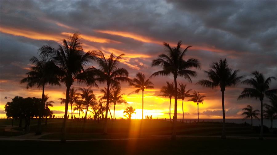 Eleven reasons why you should not come to Broome during the wet.
