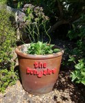 The Bungalow
