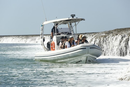 Cygnet Bay Sea Safari: Waterfall Reef Tour