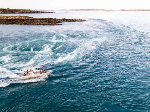 Cygnet Bay Sea Safari: Giant Tides Tour