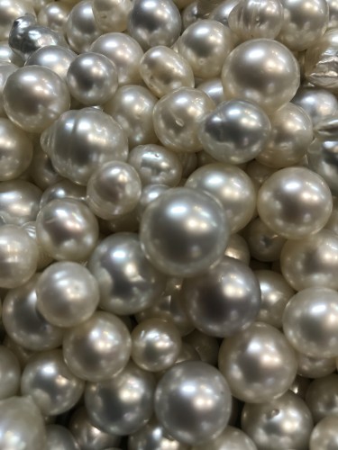 Cygnet Bay Pearl Grading Add-On